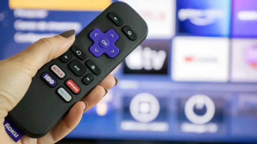 Terri Else Sues Roku and TCL Over Bricked TV Updates Class Action