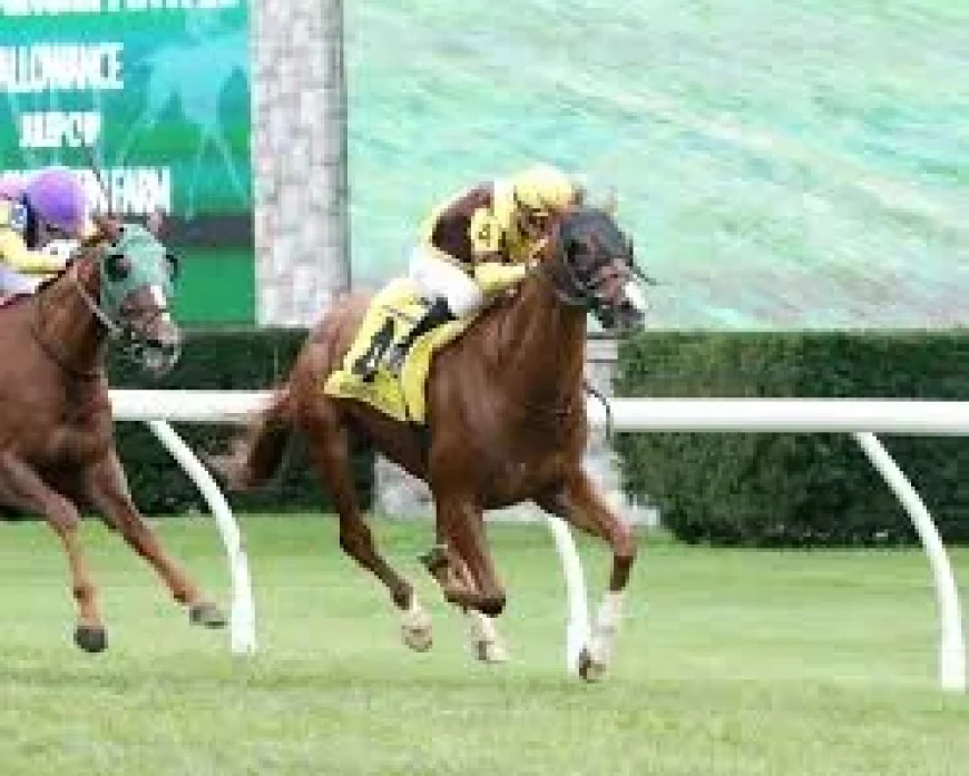 59-Degree Weather Derby Could Chill Churchill Downs