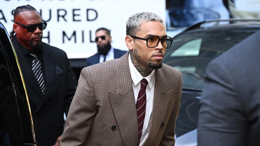 Diamond Brown Files Paternity Suit Against Chris Brown Over Lovely