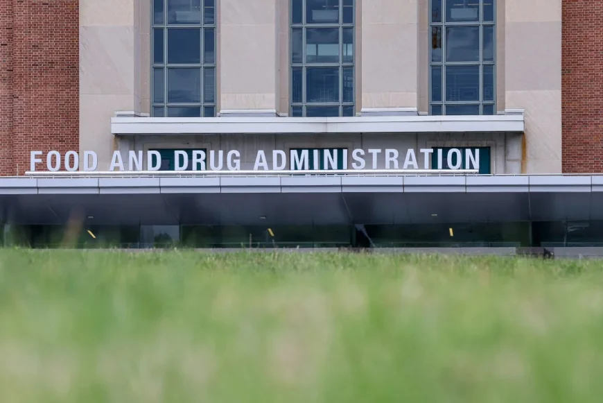 FDA rejects Replimune RP1 twice after fast-track designation