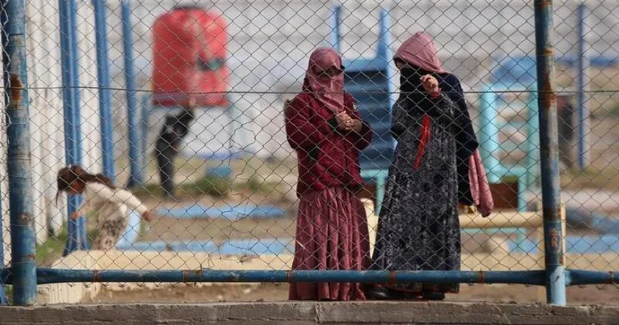 Tony Burke on 13 returnees from Syria — Australian News