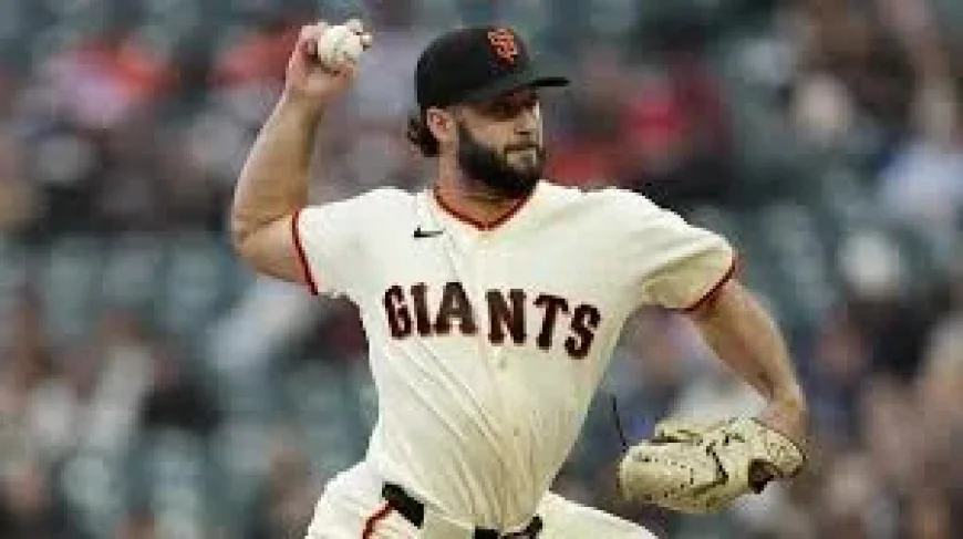 Casey Schmitt Hits Fifth Homer In Giants' 3-2 Win