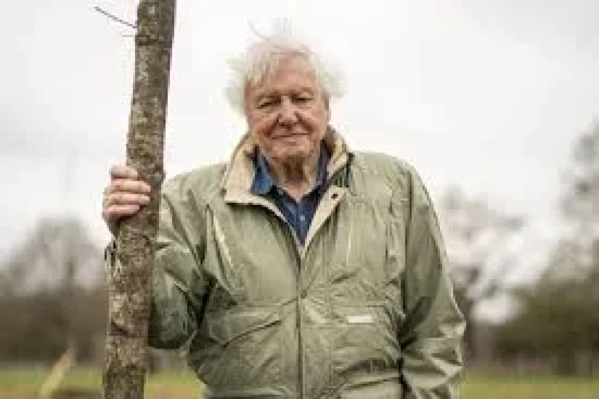 David Attenborough Marks 100 Years in BBC Celebration — When Is David Attenborough's Birthday