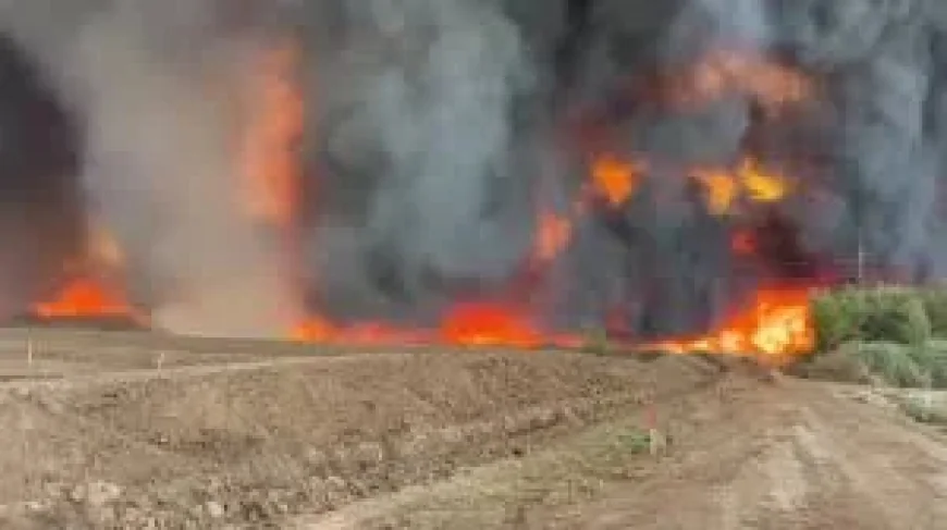 Hazen fire grows to 400 hectares, remains 0% contained — Fires Near Me