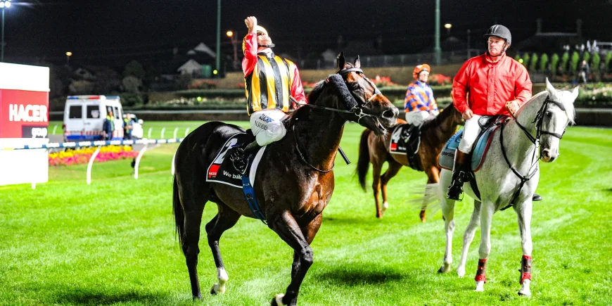 Spirit Of Boom Dies At 18 After Nine-Win Career