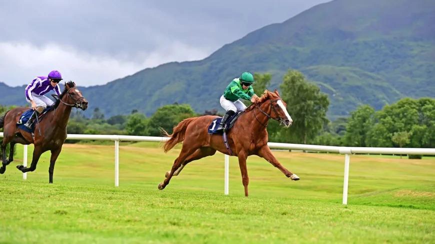 Benvenuto Cellini Faces Six Rivals in Chester Vase — Chester Races