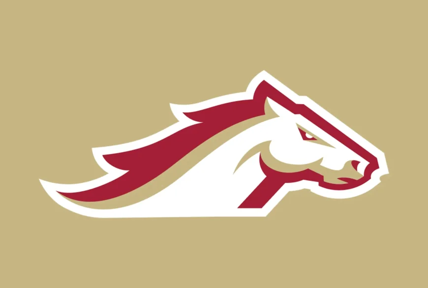 Taulia Tagovailoa: Birmingham Stallions add Elijah Cooks and Adrian Ealy