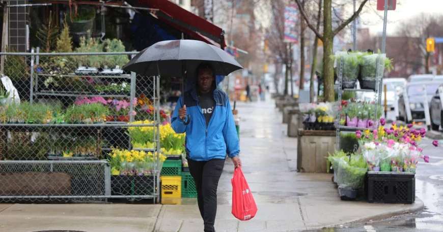 Toronto faces 40 per cent rain chance Tuesday — Cp24 News