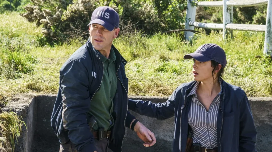Gibbs and Lala Kiss in Ncis Gibbs Season 2 Finale