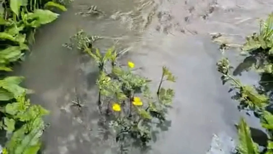 Feargal Sharkey backs Carmarthen spill after burst rising main, 0300 065 3000
