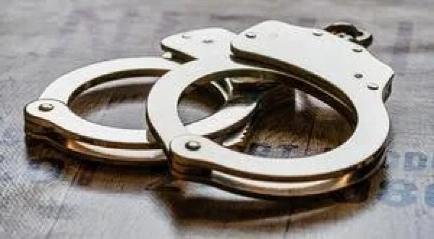 Benita D. Randle Pleads Guilty in St Louis Usps Employee Fraud Case