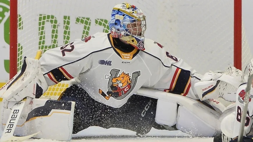 Kitchener Rangers End 2008 Drought in OHL Final Collision