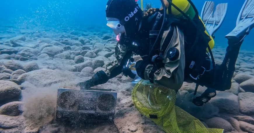 Lake Tahoe STEM Discovery Night Returns May 8 at South Tahoe Middle School