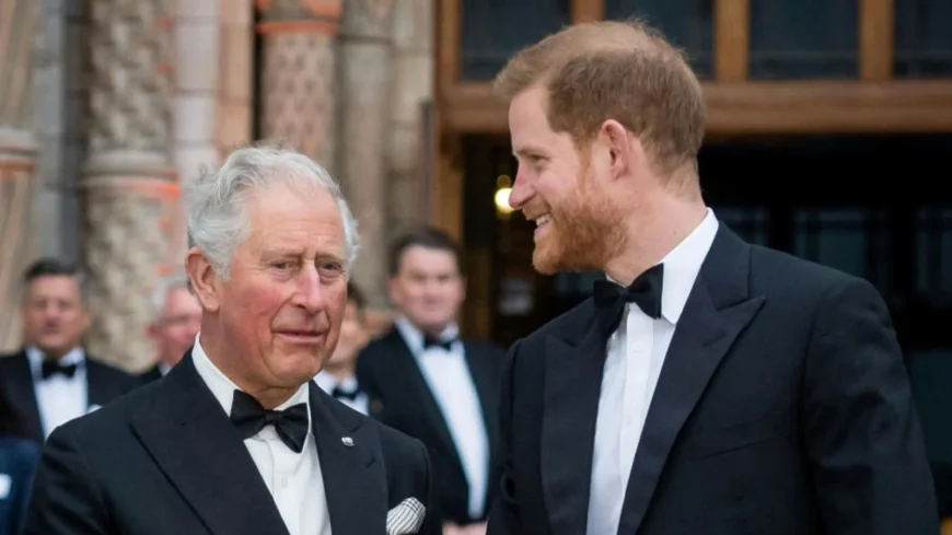 Prince Harry Demands Talks With King Charles Regarding Meghan Markle