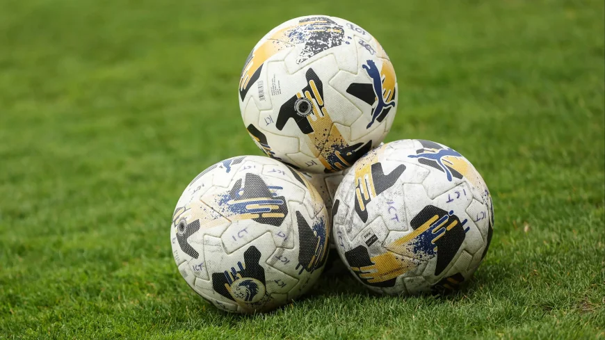 Elgin City Manager Allan Hale Suspended Immediately Pending Investigation