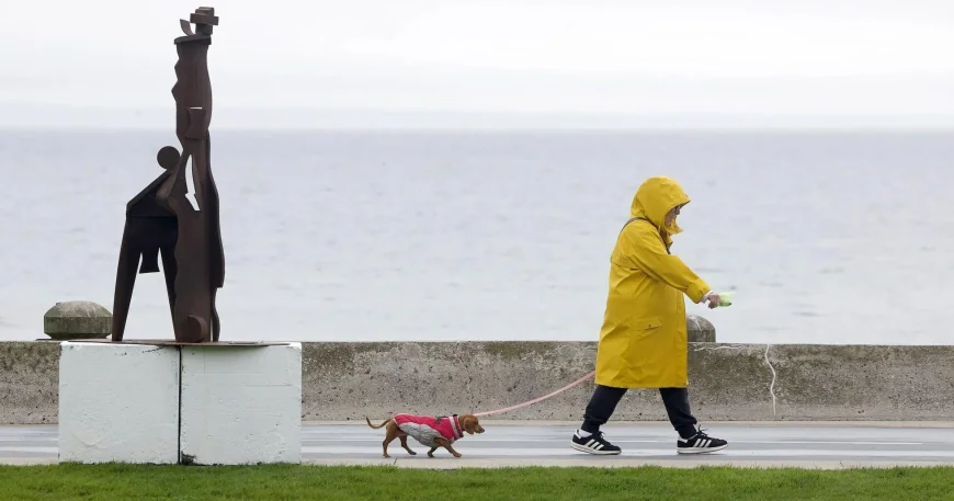 Apotex Wins Health Canada Approval for Ozempic Equivalent — Weather Hamilton