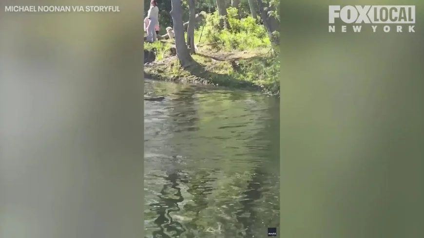 Rabid Beaver Attacks People at Lake Henry in Mahwah