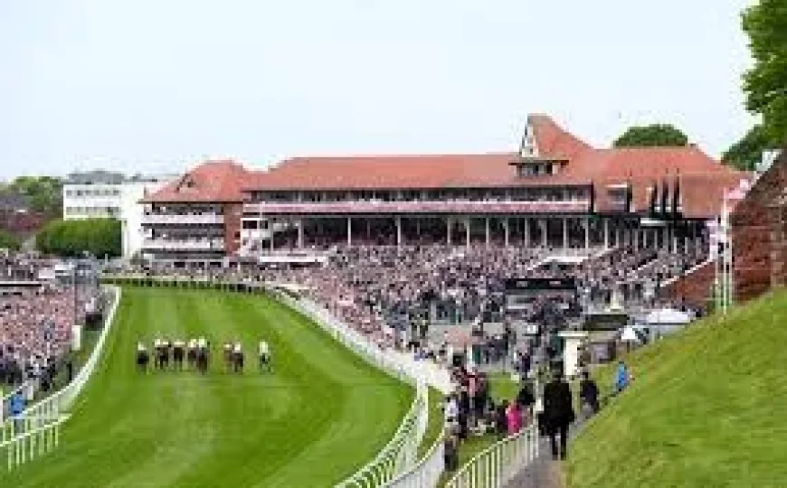 Elousie Quayle Orders 20-Minute Halt at Chester Races Today