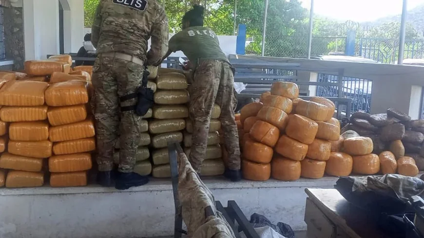 US Coast Guard Seizes 3,200 Pounds of Marijuana off Haiti