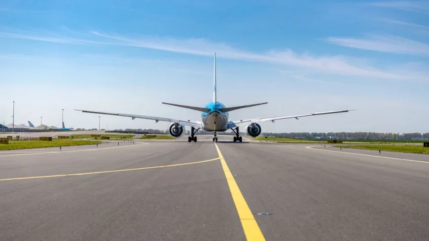 Dutch Flight Attendant Hantavirus Case Follows MV Hondius Exposure
