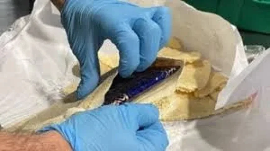 CBSA and RCMP charge three after Halifax cocaine seizure