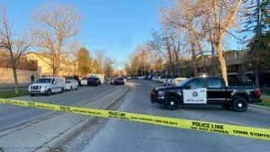 Angeline Boucher Calgary: One dead after Woodlands assault