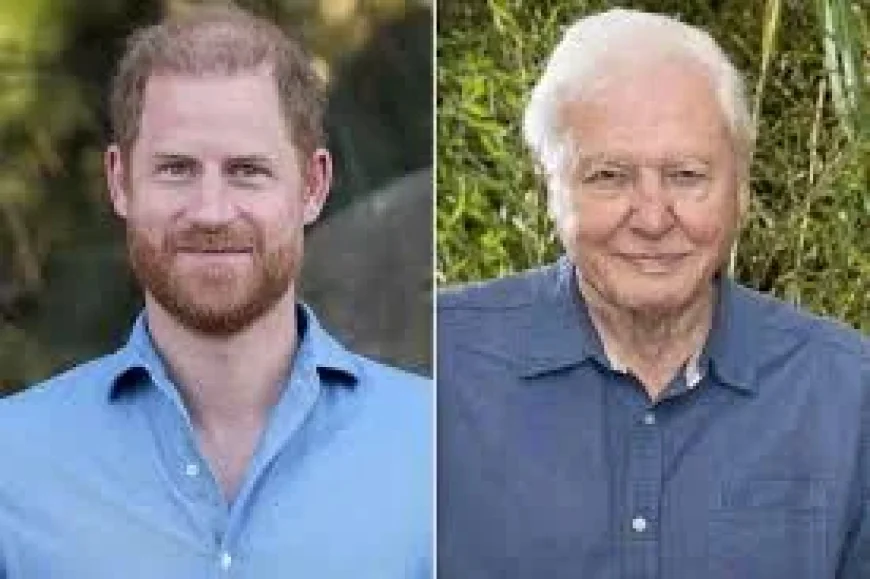 Sir David Attenborough Overwhelmed by 100th Birthday Messages