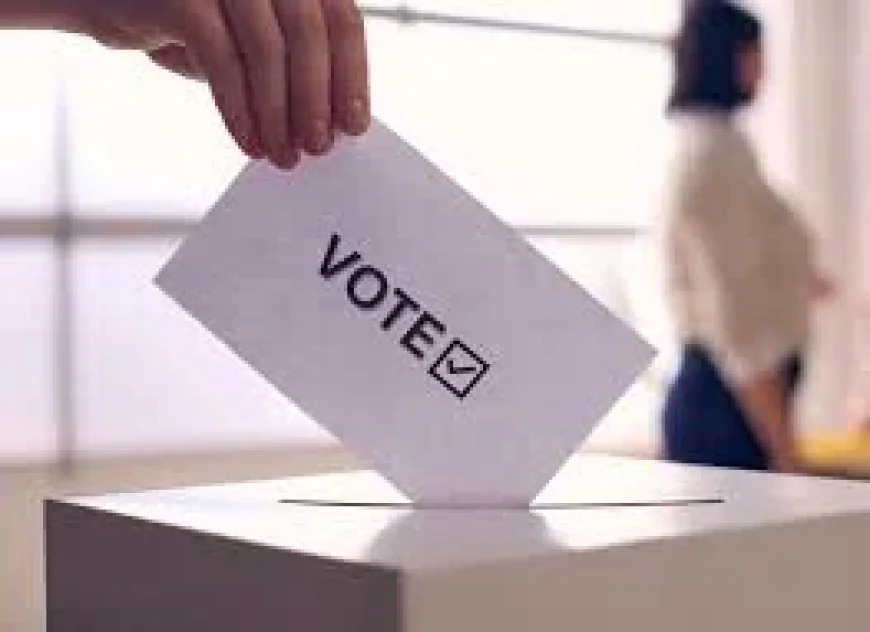 Election editor urges turnout for May 7 Ealing Council Elections 2026