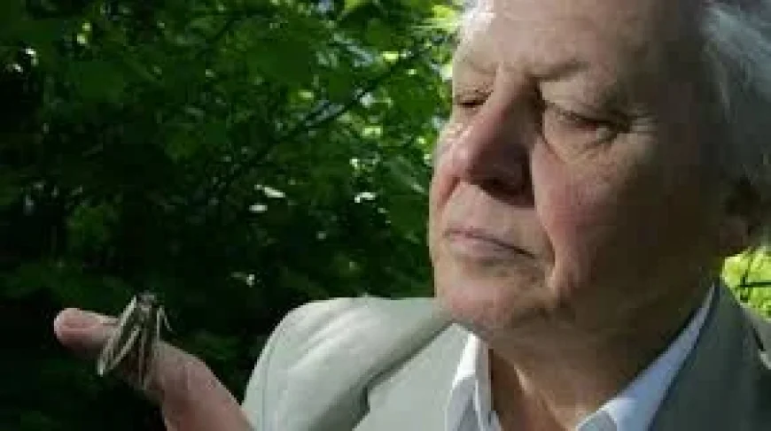 BBC One Marks Queen Elizabeth with David Attenborough at Royal Albert Hall