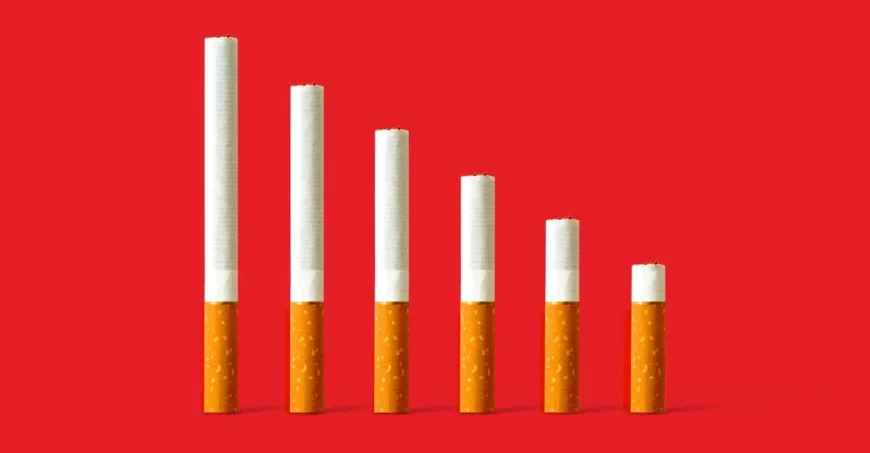 Croydon Council backs 2009 cigarette sales ban