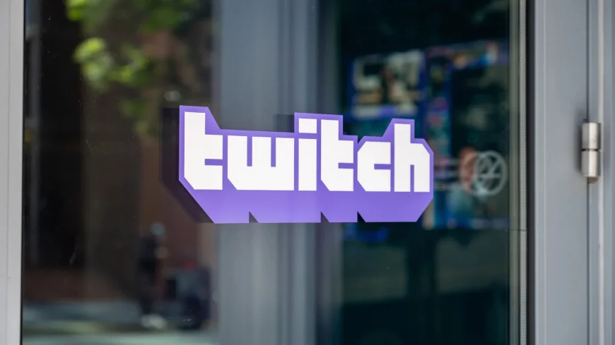 Cyber Kendra Says Twitch Free View Bots Waste Time