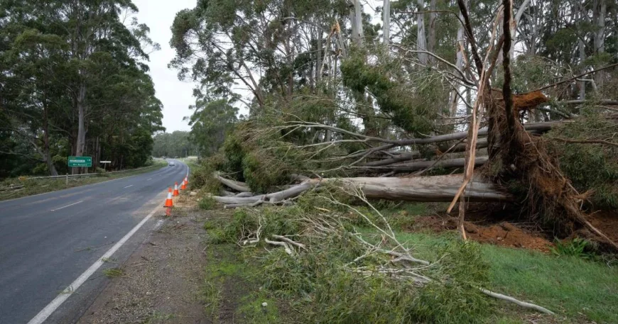 Bureau of Meteorology Issues Thunderstorm Warning for 20 Tasmania Towns