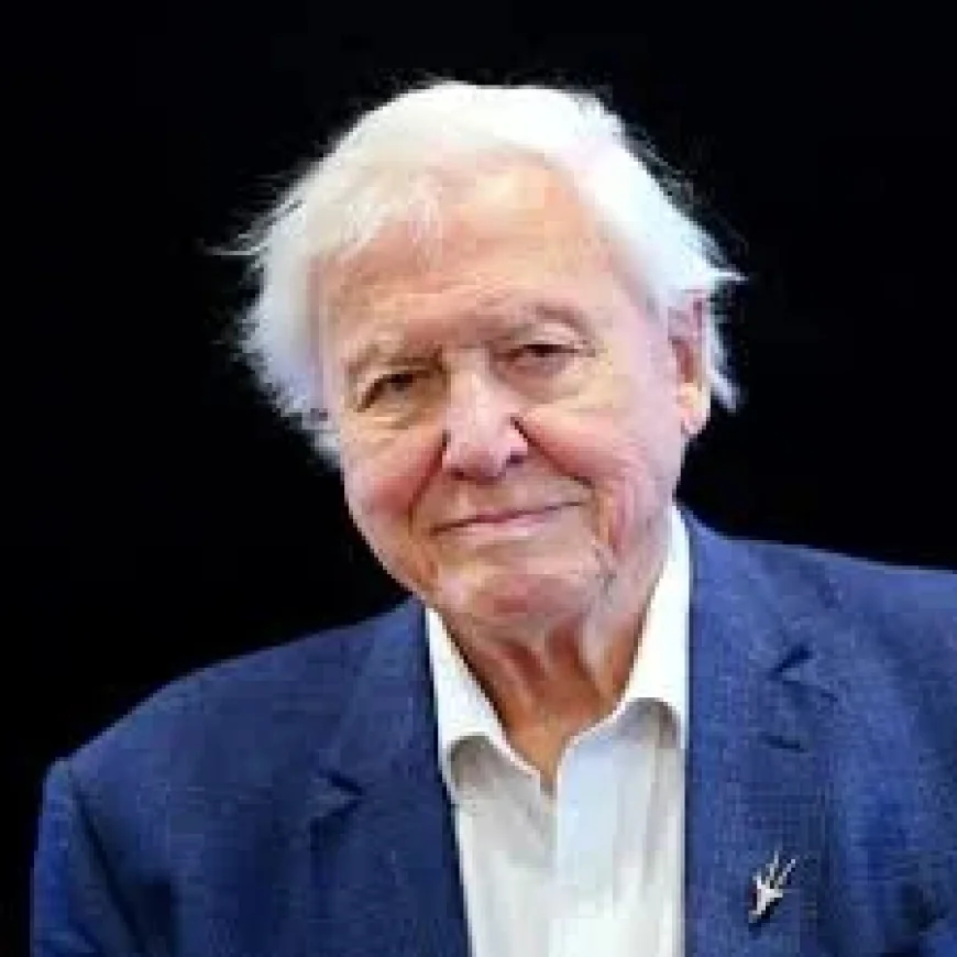 Attenborough Replies to Edward Over Dinosaur Error in 1980s Cork — David Attenborough Children