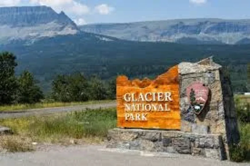 Glacier Bear: Crews Find Missing Hiker 2.5 Miles Up Mt. Brown Trail
