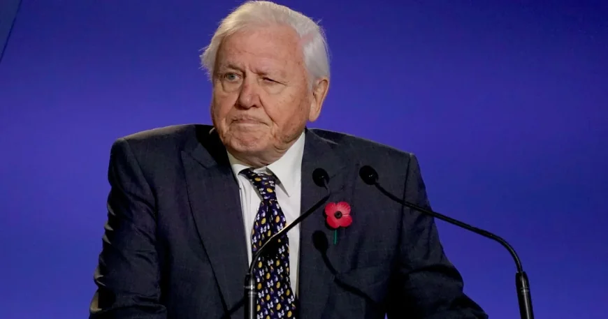 David Attenborough replies to Edward over dinosaur error in Cork — David Attenborough For Kids