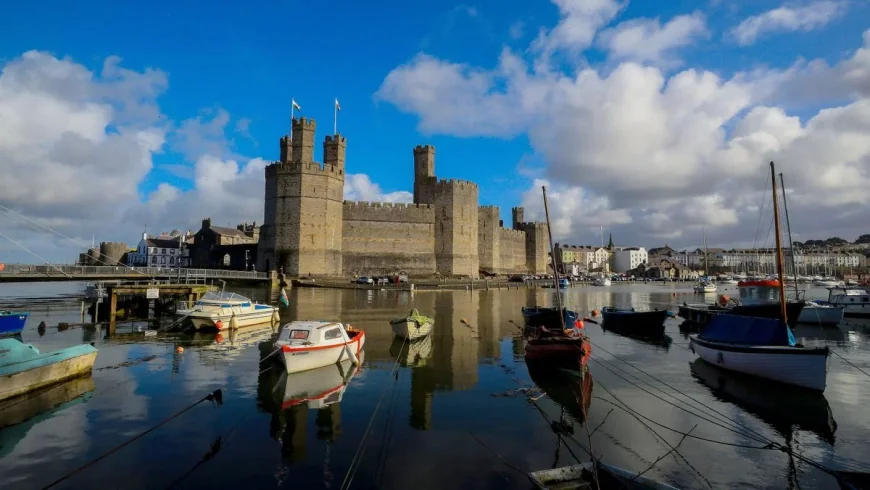 Six candidates set for Gwynedd Maldwyn Senedd race