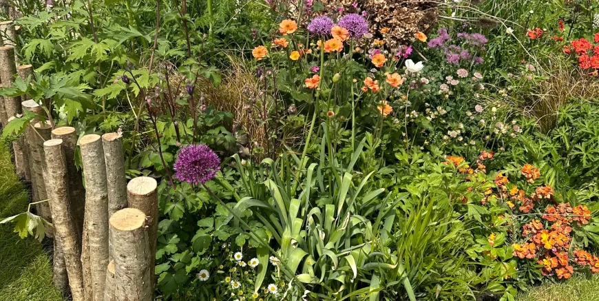 Ian McBain wins best in show at Rhs Malvern Spring Festival
