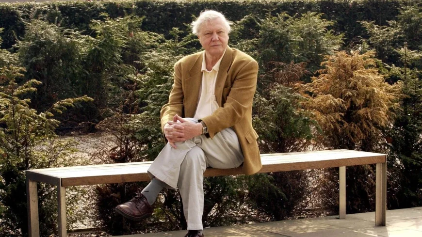 Sir David Attenborough Stays in David Attenborough House Since 1952
