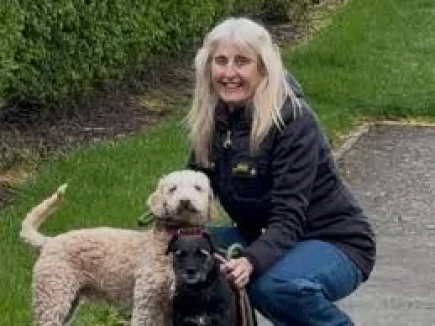 Leicester Family Rehomes 250 Poodle Cross Dogs Rescued Winston