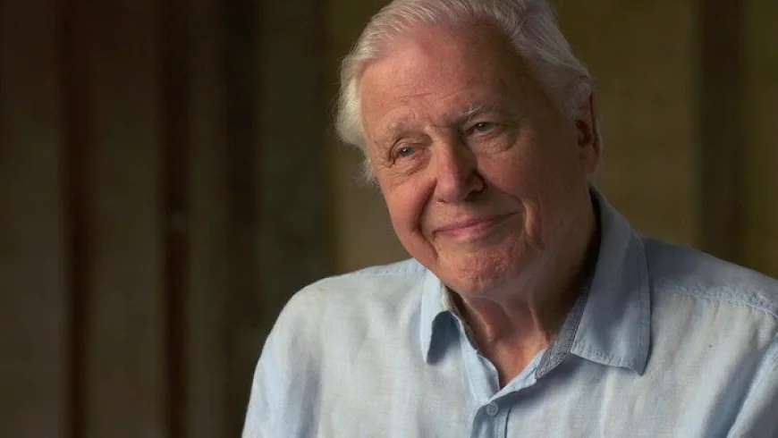 David Attenborough at 100 Draws Global Tributes as Britain Celebrates Landmark Birthday