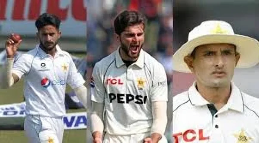 Mohammad Abbas Traps Shanto for 101 as Pakistan Pace Stalls