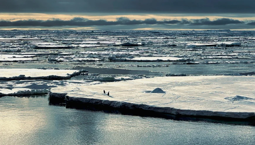 University of Southampton Study Explains 2023 Antarctic Sea Ice Low
