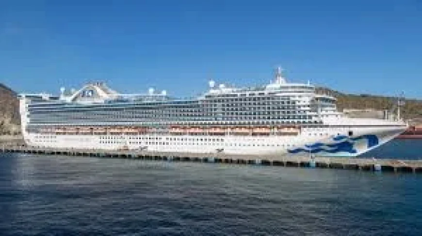 Princess Cruises reports Norovirus outbreak sickening 115 on Caribbean Princess