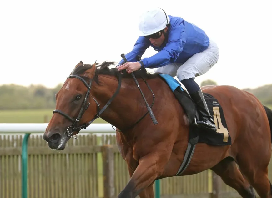 Maho Bay and Maltese Cross Test Derby Claims at Lingfield Races