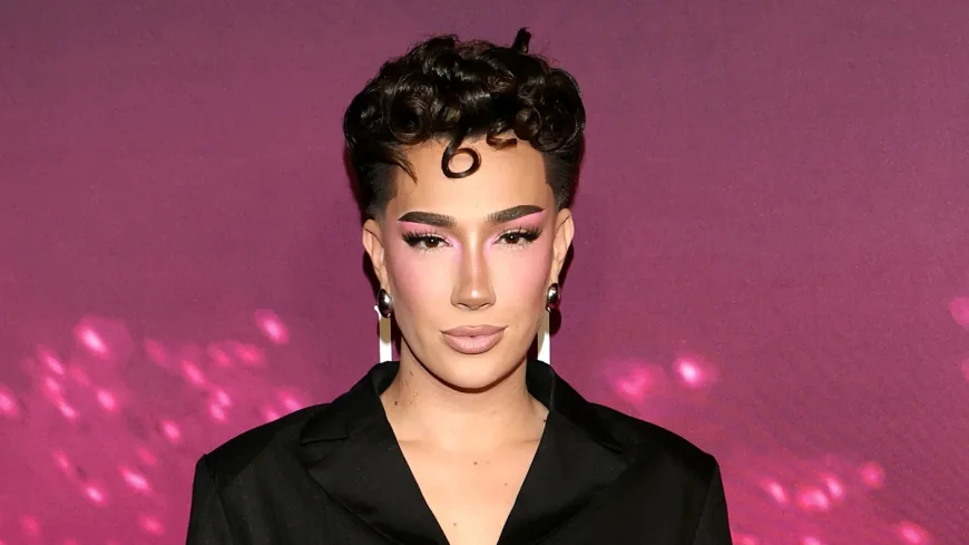James Charles Tells Spirit Airlines Worker to Get a Job in Deleted TikTok
