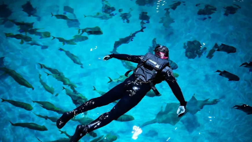 Georgia Aquarium Story Missing; Obituaries Fill Source