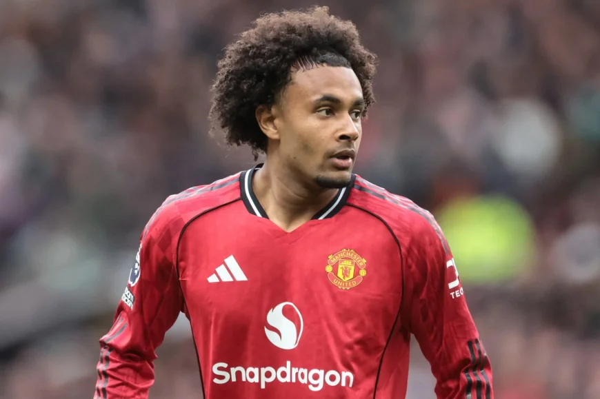 Joshua Zirkzee in line for Sunderland chance as Carrick weighs Sesko