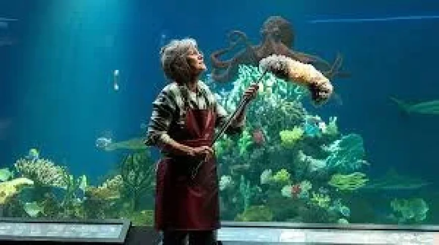 Sally Field Anchors Remarkably Bright Creatures Movie on Netflix