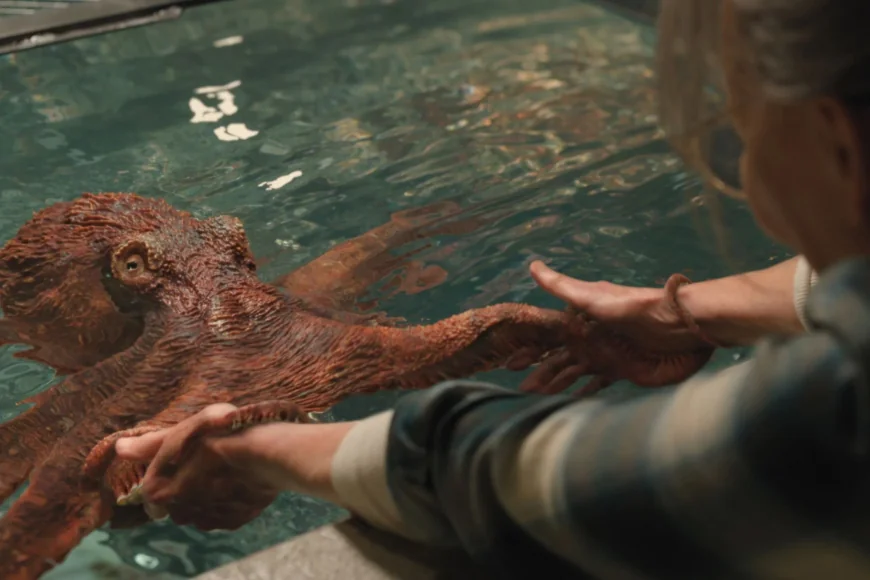 Sally Field Leads Remarkably Bright Creatures Filming Locations Film for Netflix