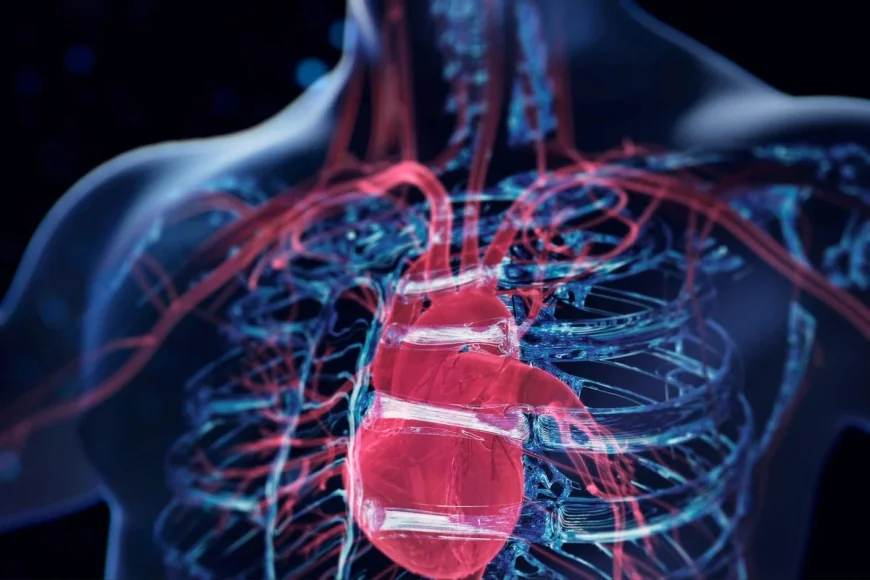 Dagfinn Aune Links 170g Legumes to Lower Blood Pressure Risk